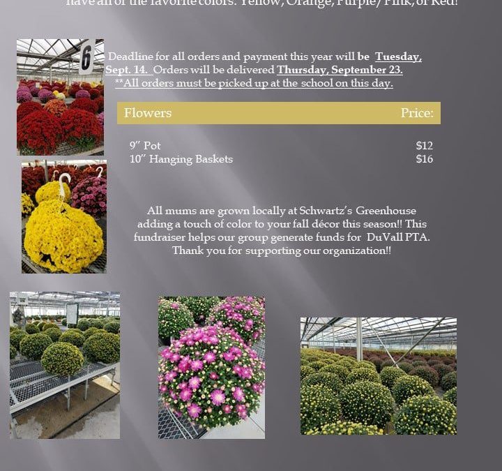 Fall Mum Sale